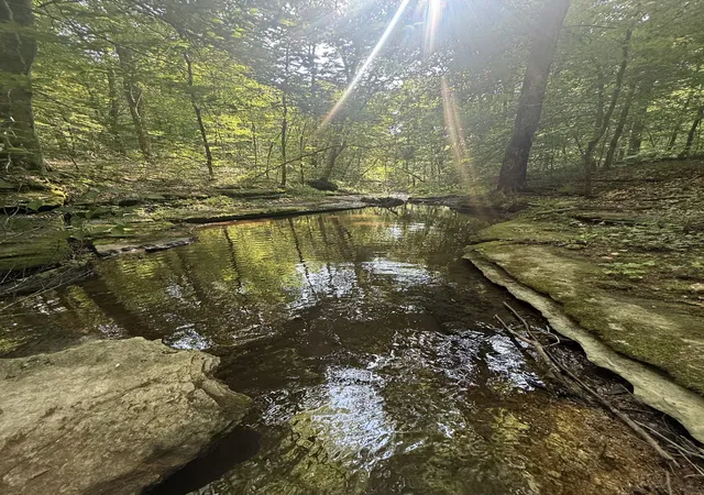 Photo 1 of Land for sale at 0 Toll Holw Rd, Waynesboro, TN 38485 | MLS# 3256668 | Listing updated on 2026-08-20
