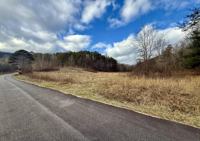 2nd image of 0 Cedar Springs Road, Turtletown, TN 37391 | MLS# 3337288