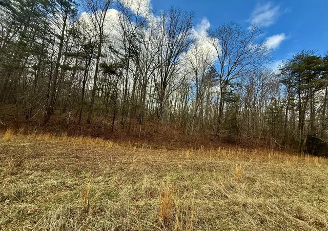 3rd image of 0 Cedar Springs Road, Turtletown, TN 37391 | MLS# 3337288