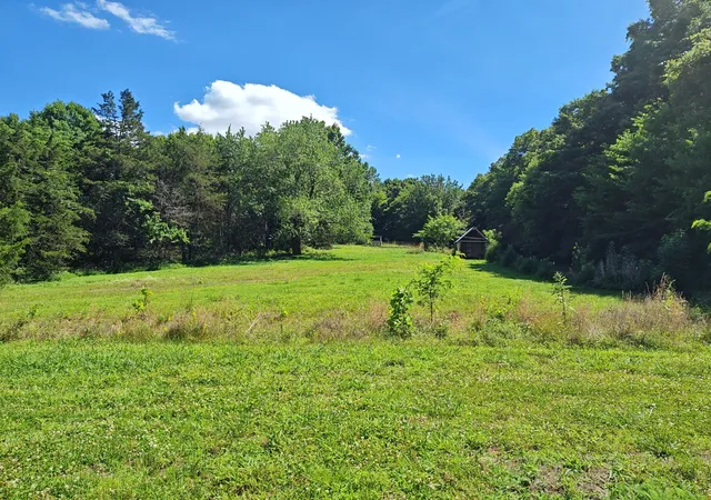 Homes for sale in Watertown, TN | 2770 Beech Log Rd, Watertown, TN 37184 | MLS# 3259819