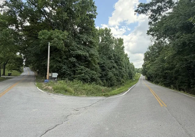 Homes for sale in Sale Creek, TN | 0 Andy Thomas Road, Sale Creek, TN 37373 | MLS# 3269776