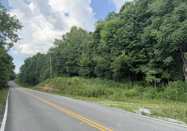 Homes for sale in Sale Creek, TN | 0 Andy Thomas Road, Sale Creek, TN 37373 | MLS# 3269776