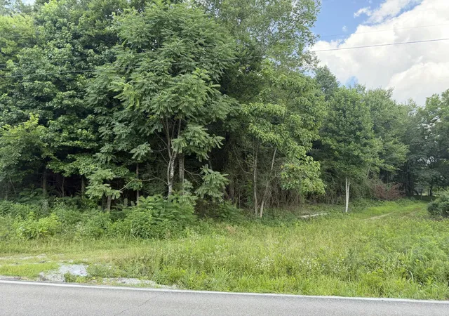 Homes for sale in Sale Creek, TN | 0 Andy Thomas Road, Sale Creek, TN 37373 | MLS# 3269776