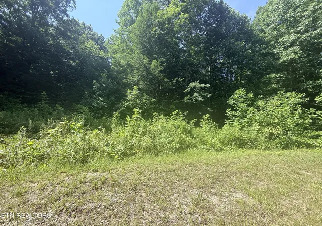 Homes for sale in Jamestown, TN | 760 Dubose Dr, Jamestown, TN 38556 | MLS# 3259694