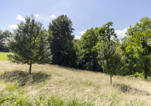 Photo 3 of Land for sale at 1202 Valarie Ln, Columbia, TN 38401 | MLS# 3259721 | Listing updated on 2026-08-20