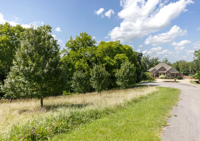 Photo 4 of Land for sale at 1202 Valarie Ln, Columbia, TN 38401 | MLS# 3259721 | Listing updated on 2026-08-20