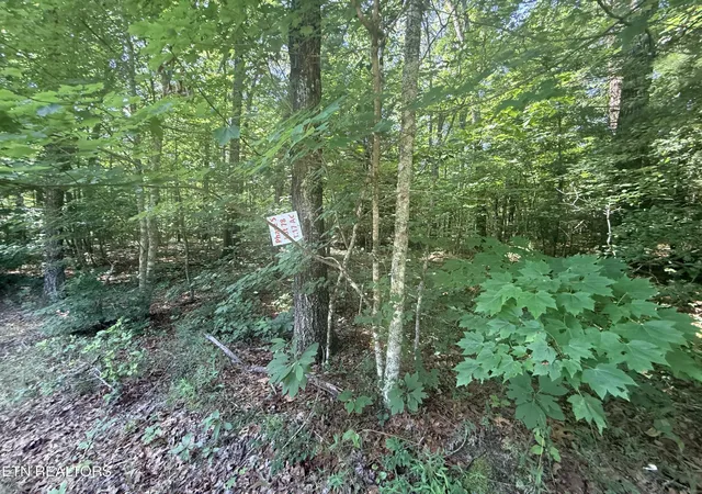 Homes for sale in Jamestown, TN | 390 Georgee Rd, Jamestown, TN 38556 | MLS# 3259728