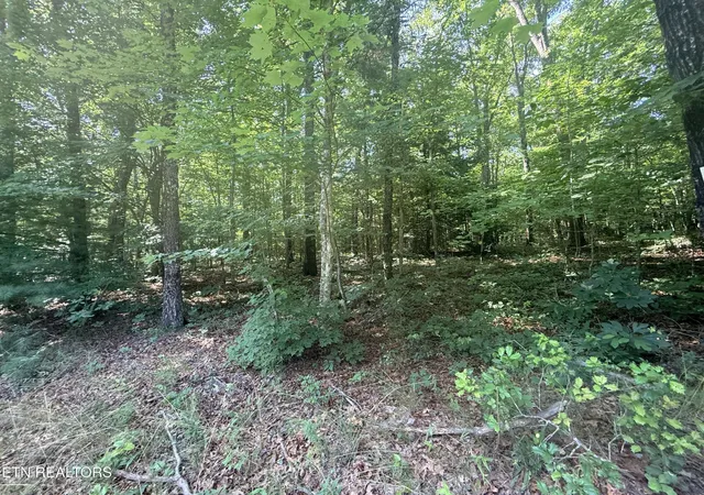 Homes for sale in Jamestown, TN | 390 Georgee Rd, Jamestown, TN 38556 | MLS# 3259728
