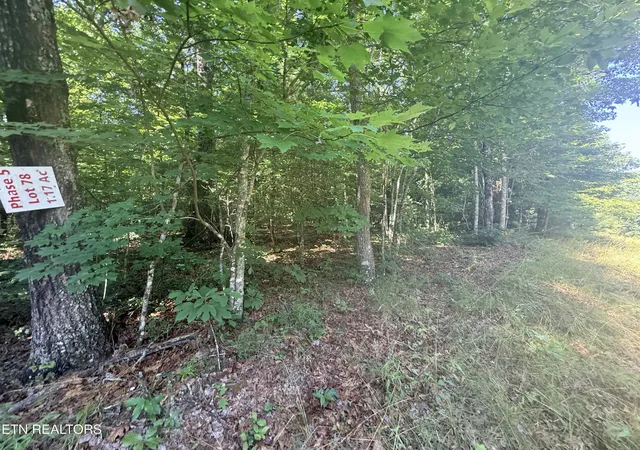 Homes for sale in Jamestown, TN | 390 Georgee Rd, Jamestown, TN 38556 | MLS# 3259728