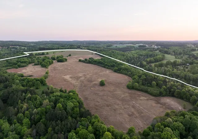 Homes for sale in Collinsville, AL | 778 County Road 65, Collinsville, AL 35961 | MLS# 3259832