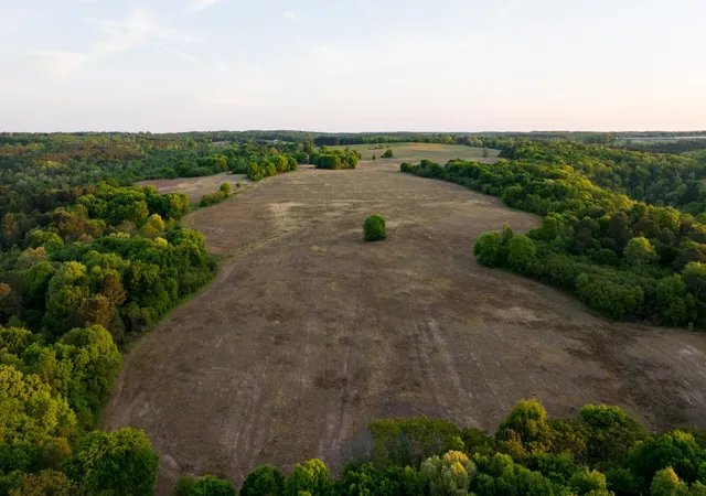 Homes for sale in Collinsville, AL | 778 County Road 65, Collinsville, AL 35961 | MLS# 3259832
