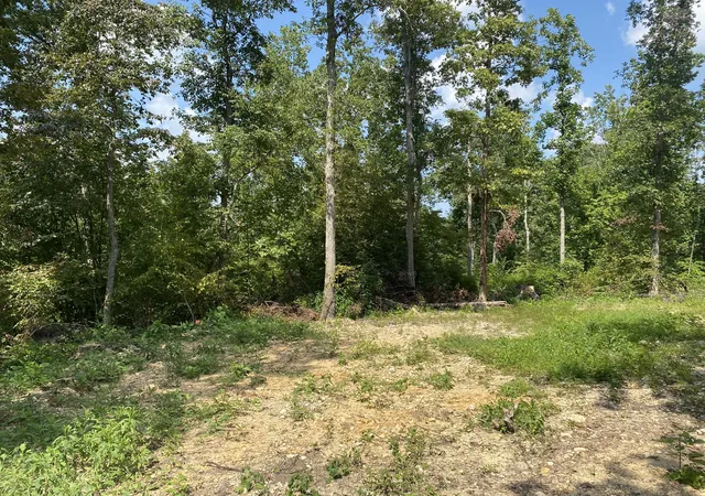 13th image of 401 Napier Rd, Hohenwald, TN 38462 | MLS# 3259889