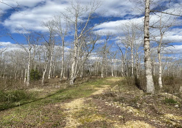 2nd image of 401 Napier Rd, Hohenwald, TN 38462 | MLS# 3259889