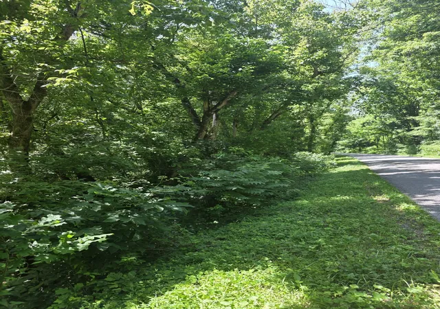 Homes for sale in Pleasant Shade, TN | 0 Difficult Ln, Pleasant Shade, TN 37145 | MLS# 3260281