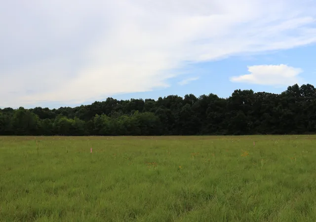 1st image of 0 Laws Hill Road, Lewisburg, TN 37091 | MLS# 3260106