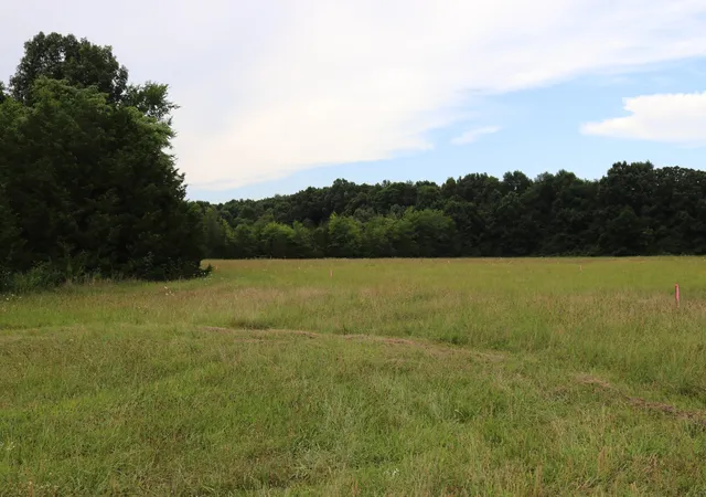 Photo 3 of Land for sale at 0 Laws Hl Rd, Lewisburg, TN 37091 | MLS# 3260106 | Listing updated on 2026-08-17