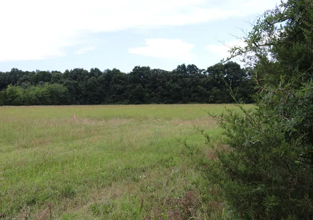 Photo 4 of Land for sale at 0 Laws Hl Rd, Lewisburg, TN 37091 | MLS# 3260106 | Listing updated on 2026-08-17