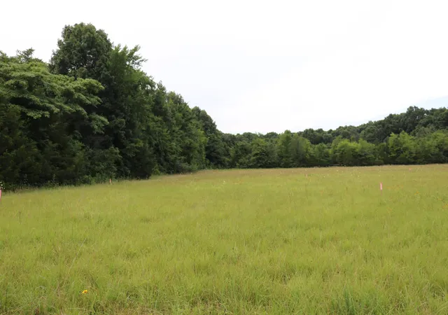 8th image of 0 Laws Hill Road, Lewisburg, TN 37091 | MLS# 3260106