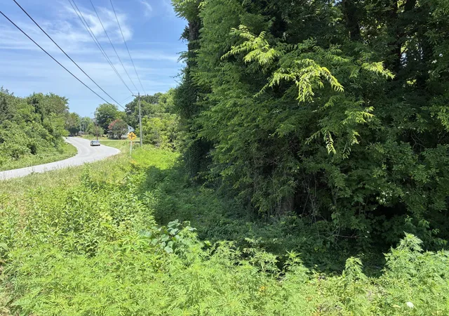 Homes for sale in Sweetwater, TN | 0 Sweetwater Vonore Road, Sweetwater, TN 37874 | MLS# 3259949