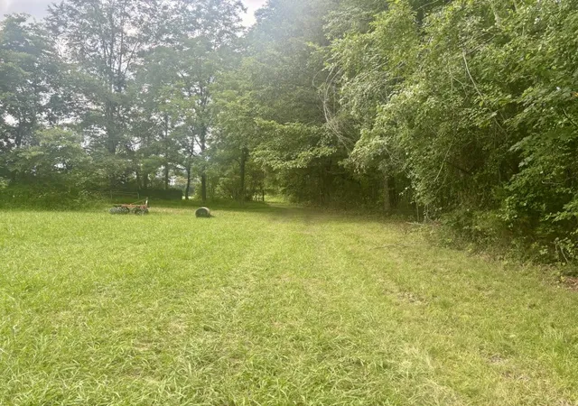 Homes for sale in Manchester, TN | 294 Haskell Winton Rd, Manchester, TN 37355 | MLS# 3260095