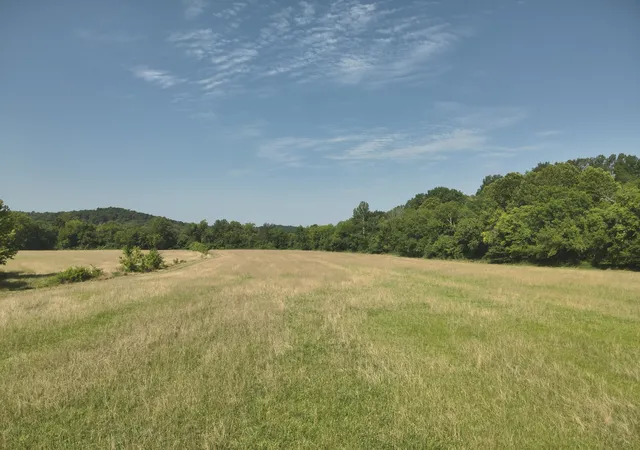 3rd image of 0 Culps Bend Rd, Clifton, TN 38425 | MLS# 3260192