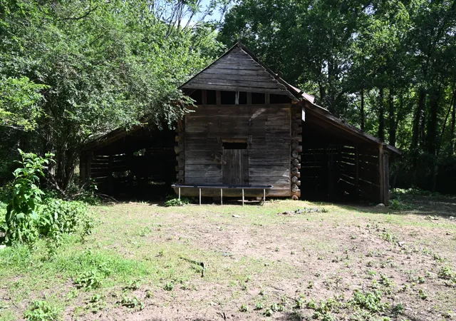 41st image of 0 Culps Bend Rd, Clifton, TN 38425 | MLS# 3260192