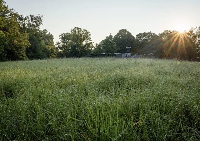 1st image of 1125 Dawson Road, White Bluff, TN 37187 | MLS# 3512843