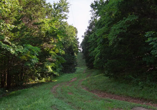 Photo 3 of Single family home for sale at 1125 Dawson Rd, White Bluff, TN 37187 | MLS# 3512843 | Listing updated on 2026-08-20