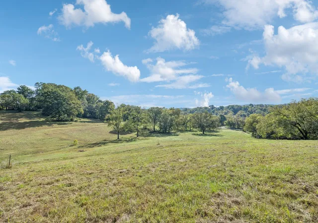 Photo 80 of Mansion for sale at 0 Bethesda Arno Rd, Thompson's Station, TN 37179 | MLS# 3262891 | Listing updated on 2026-08-20