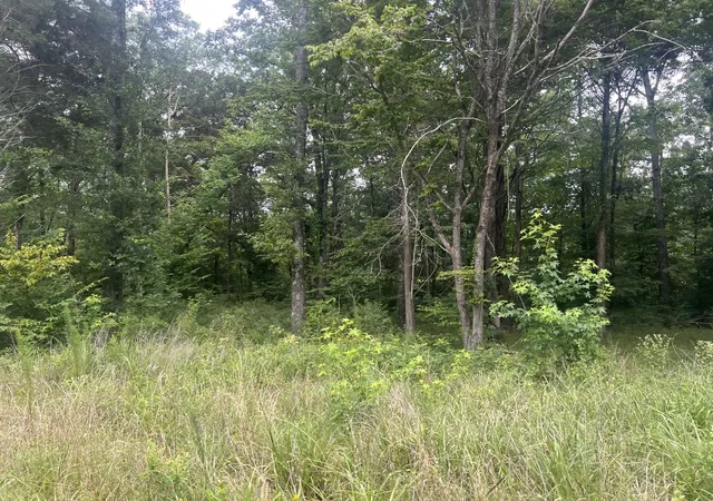 Photo 4 of Land for sale at 3 Toms Crk Lake Rd, Linden, TN 37096 | MLS# 3260159 | Listing updated on 2026-08-20