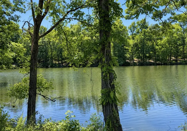 Homes for sale in Clifton, TN | 384 Duck Blind Rd, Clifton, TN 38425 | MLS# 3260198