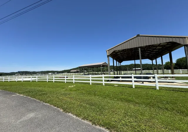 Homes for sale in Clifton, TN | 384 Duck Blind Rd, Clifton, TN 38425 | MLS# 3260198