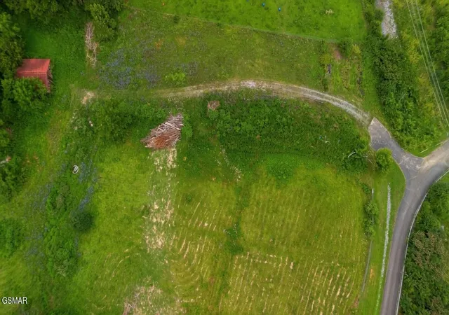 59th image of 0 Old Greeneville Hwy, Parrottsville, TN 37843 | MLS# 3281426