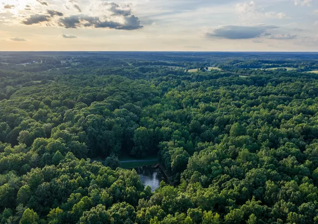 49th image of 7348 Bradford Rd, Primm Springs, TN 38476 | MLS# 3260235