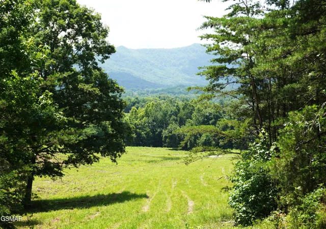 1st image of 0 Rhyne Camp Road, Newport, TN 37821 | MLS# 3281427