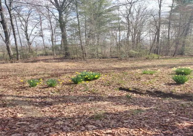 1st image of 465 Huse Watson Road, Oakdale, TN 37829 | MLS# 3260250