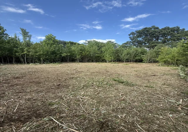Photo 3 of Land for sale at 0 Brook Dr, Sparta, TN 38583 | MLS# 3263410 | Listing updated on 2026-09-22