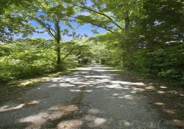 1st image of 148 Wade Jennings Rd, Shelbyville, TN 37160 | MLS# 3260416