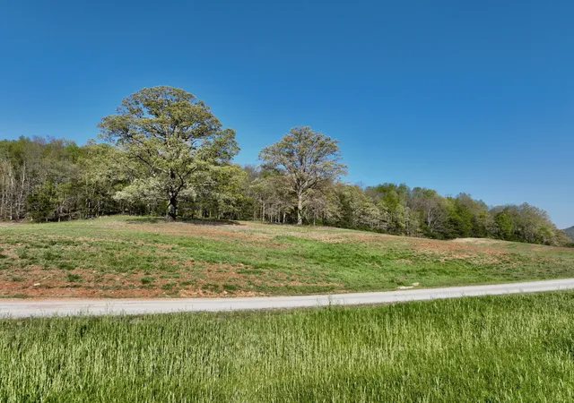 Homes for sale in Rock Island, TN | 1 Russell Rd, Rock Island, TN 38581 | MLS# 3260358