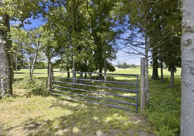 2nd image of 990 Bethleham Church Road, Shelbyville, TN 37160 | MLS# 3261074