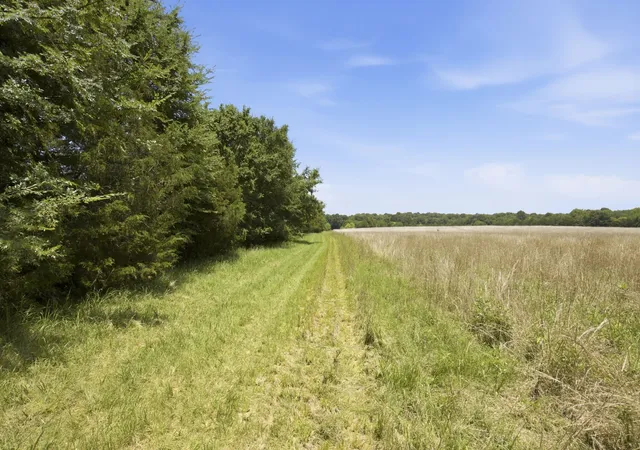 3rd image of 990 Bethleham Church Road, Shelbyville, TN 37160 | MLS# 3261074