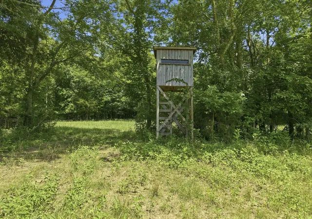 38th image of 990 Bethleham Church Road, Shelbyville, TN 37160 | MLS# 3261074