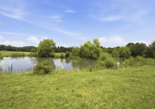 4th image of 990 Bethleham Church Road, Shelbyville, TN 37160 | MLS# 3261074