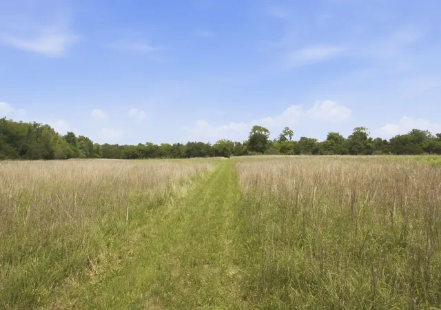 5th image of 990 Bethleham Church Road, Shelbyville, TN 37160 | MLS# 3261074