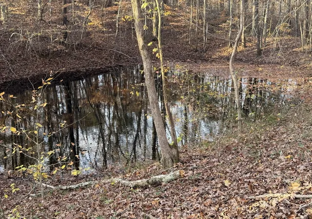 46th image of 805 Harris Rd, Dickson, TN 37055 | MLS# 3260502