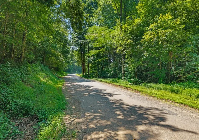 Homes for sale in Sweetwater, TN | 0 Randolph Fridley Road, Sweetwater, TN 37874 | MLS# 3260832