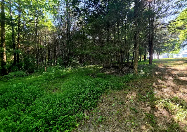 Photo 17 of Sale Pending at 0 Tulip Ln, Cookeville, TN 38501 | MLS# 3260580 | Listing updated on 2026-09-04