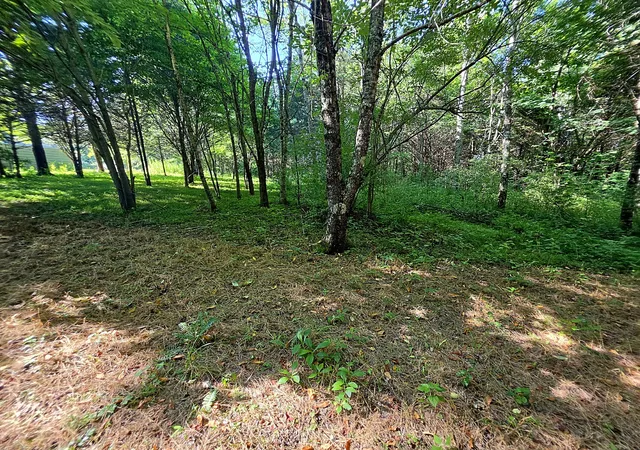 Photo 2 of Sale Pending at 0 Tulip Ln, Cookeville, TN 38501 | MLS# 3260580 | Listing updated on 2026-09-04