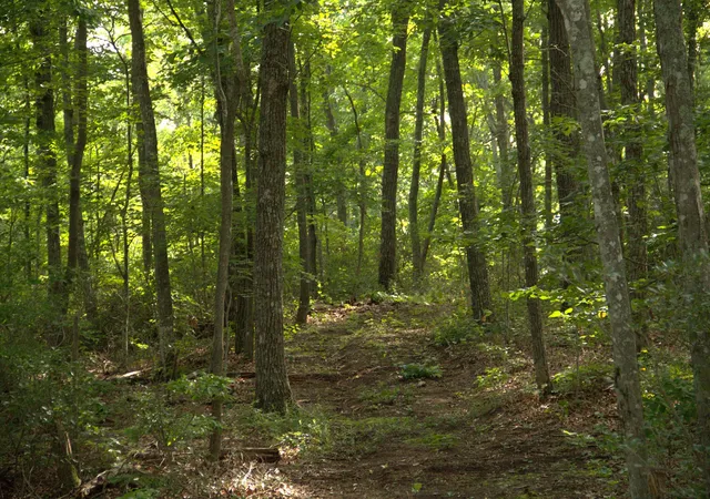 1st image of 0 Bluff Line Dr, Mc Minnville, TN 37110 | MLS# 3262589