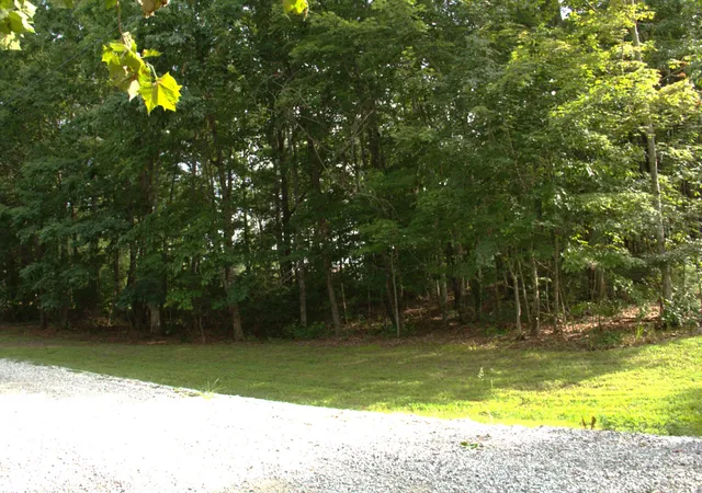 Photo 2 of Land for sale at 0 Blf Line Dr, Mc Minnville, TN 37110 | MLS# 3262589 | Listing updated on 2026-08-20